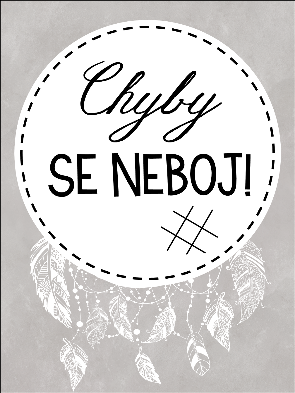 Snímek12
